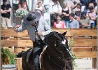 Pferd International 095